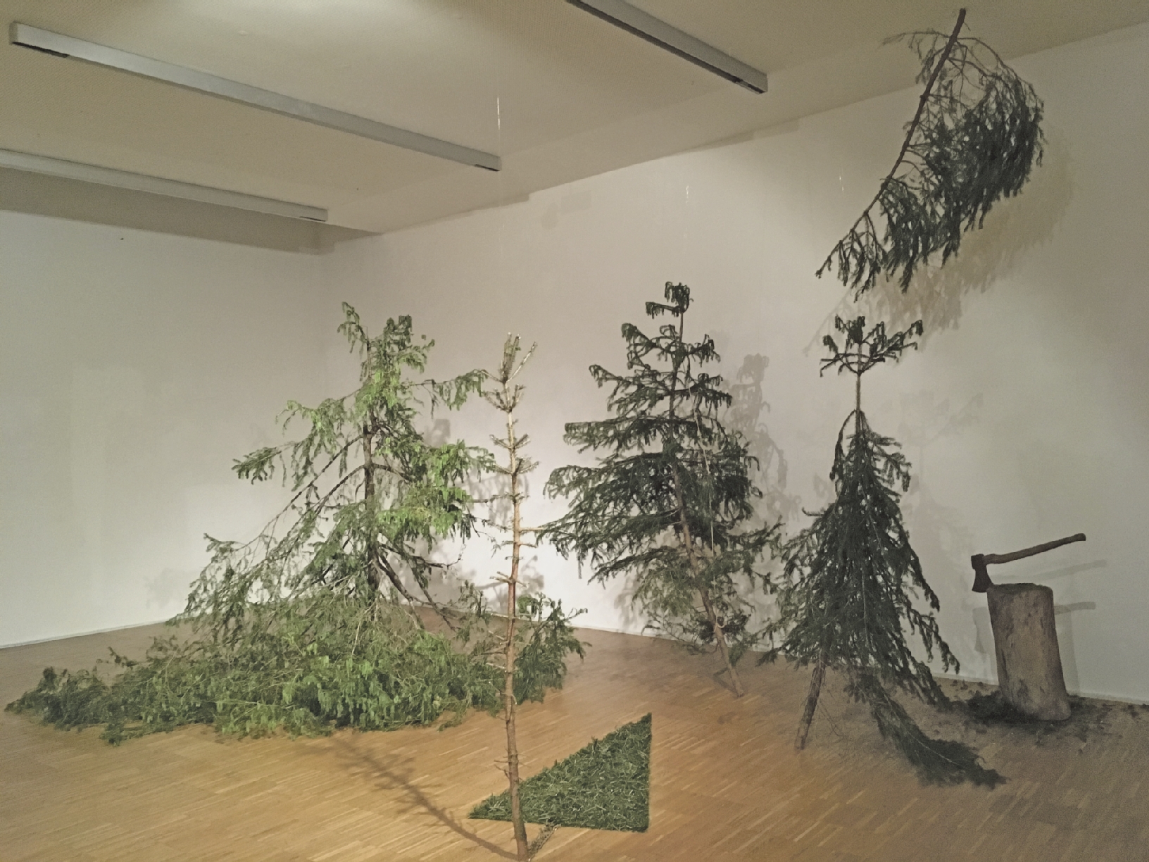 5 trees in der Maerz. Foto Betty Wimmer