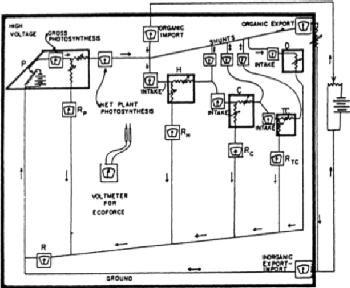 Howard Odums erste Ökosystemdarstellung basierend auf Symbolen und Ästhetik von elektrischen Schaltplänen. Bild Howard Odum, 1960