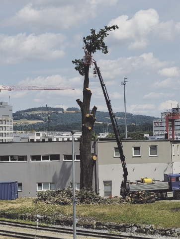 Eine Chronologie des Verschwindens. Foto Lorenz Hack, 2023