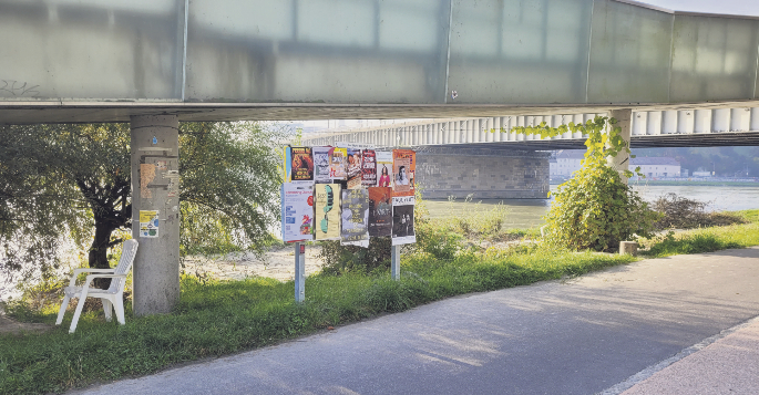 Hier die Fläche an der Donaulände bei der Stadtwerkstatt (Rampe Donauweg). Foto Die Referentin