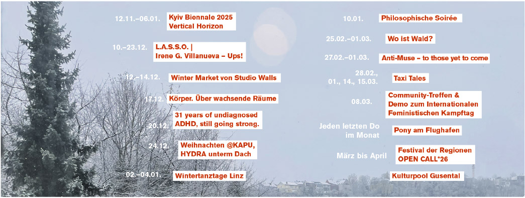 Professionelles Publikum