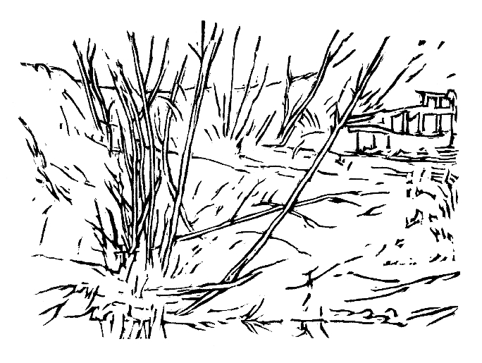 Holzschnitte, die sich in &bdquo;Am Rande der M&uuml;h&ldquo; finden. 