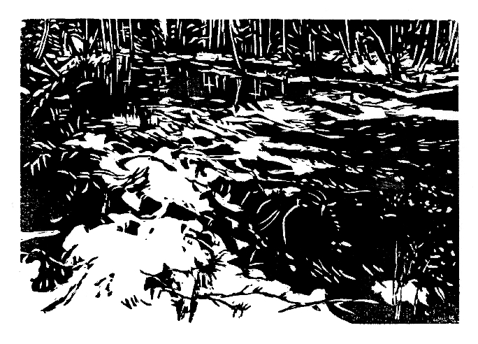 Holzschnitte, die sich in &bdquo;Am Rande der M&uuml;h&ldquo; finden.