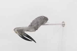 Sophia Gatzkan: Without the blood bond,  the arch would fall